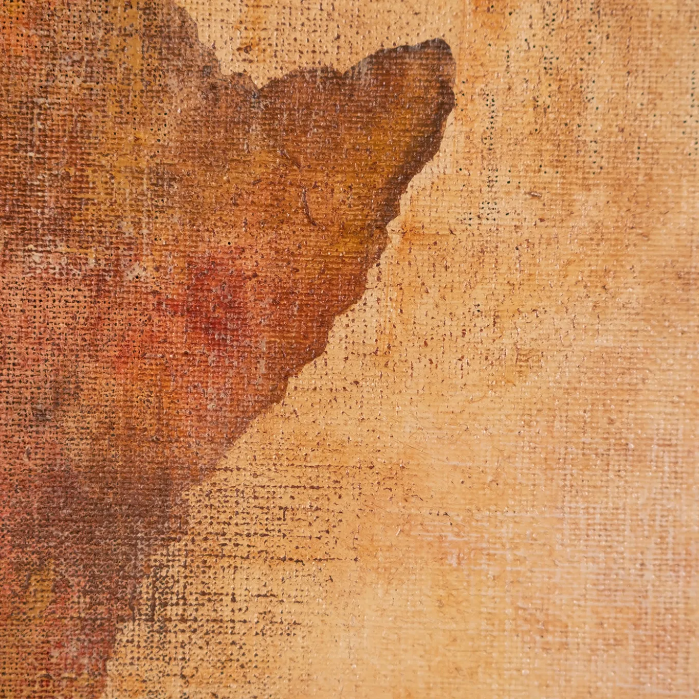 Arazzo Mappamondo