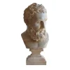Busto di testa di Ercole