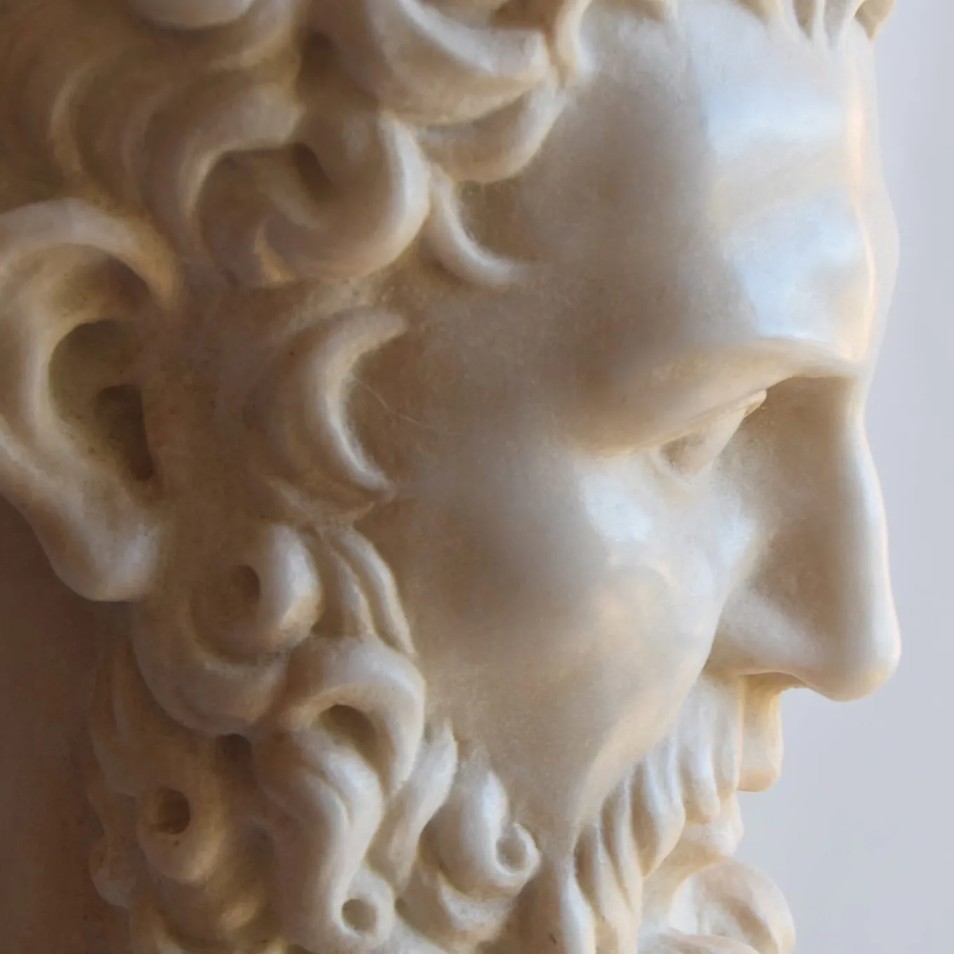 Busto di testa di Ercole
