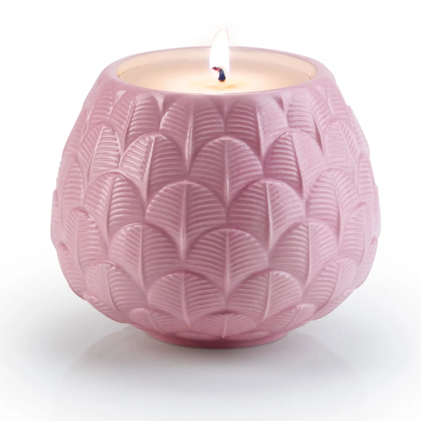 CANDELA CHARLOTTE PEACOCK - ROSA