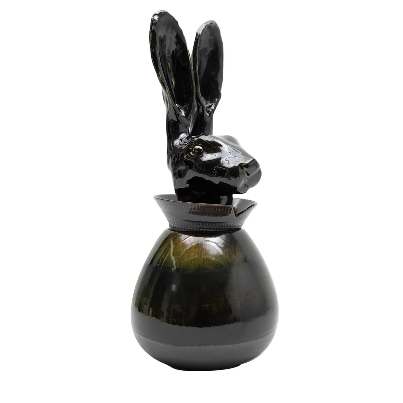 Canopo Lepre Vaso nero #1