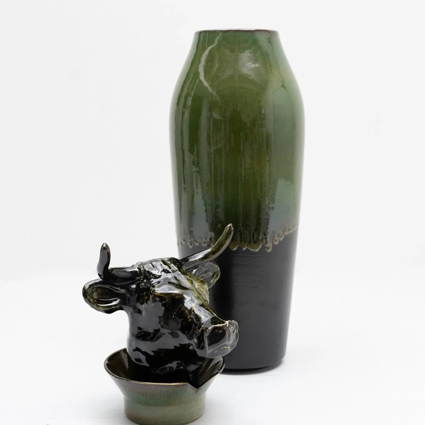 Canopo Toro Vaso a L nero e verde