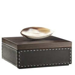 CAPRICIA box #3