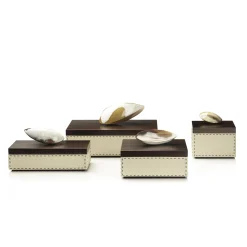 CAPRICIA box #4