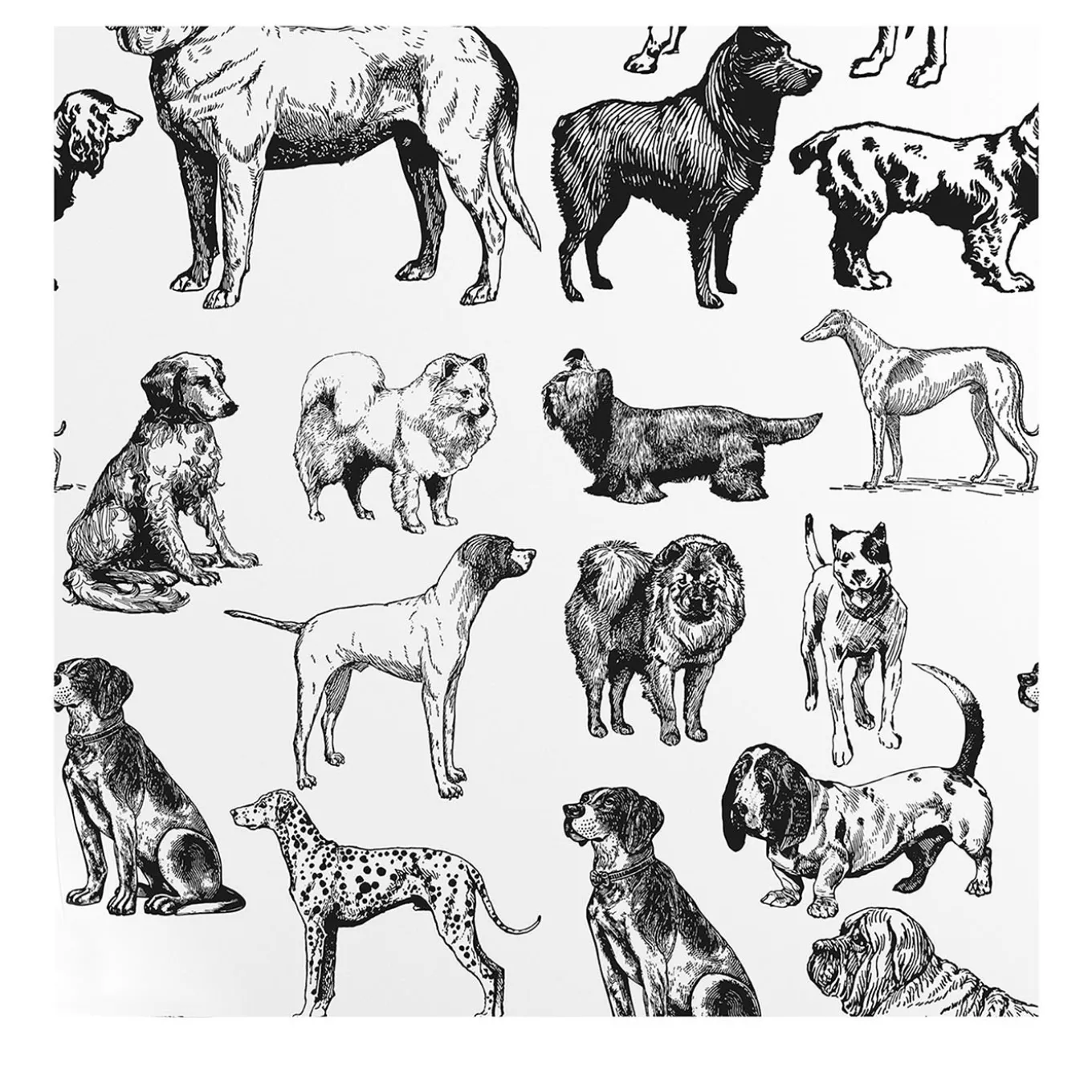 Carta da Parati con Cani Disegnati a Mano in Bianco e Nero