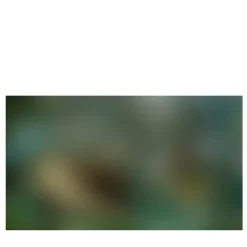 Carta da parati Nebula Il Sogno #2