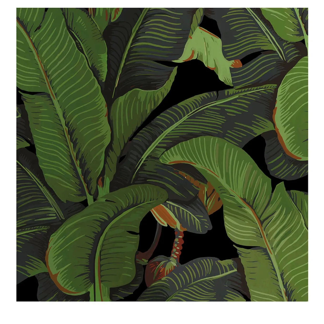 Carta da Parati Tropicale Nera e Verde con Foglie di Banano