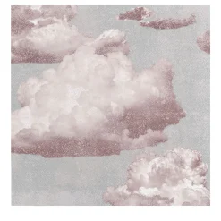 Carta da Parati Vintage con Nuvole Rosa