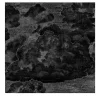 Carta da Parati Vintage Nera con Nuvole