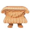 Cassetta Piedi Di Leone