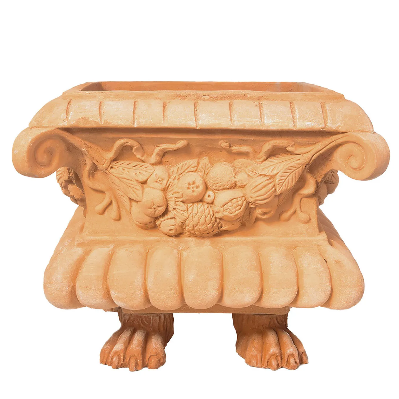 Cassetta Piedi Di Leone