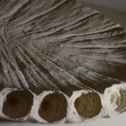 Centrotavola Fossil 2/20