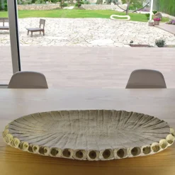 Centrotavola Fossil 2/20