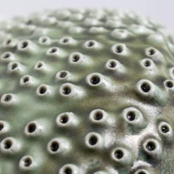 CIOTOLA VERDE OCEANO