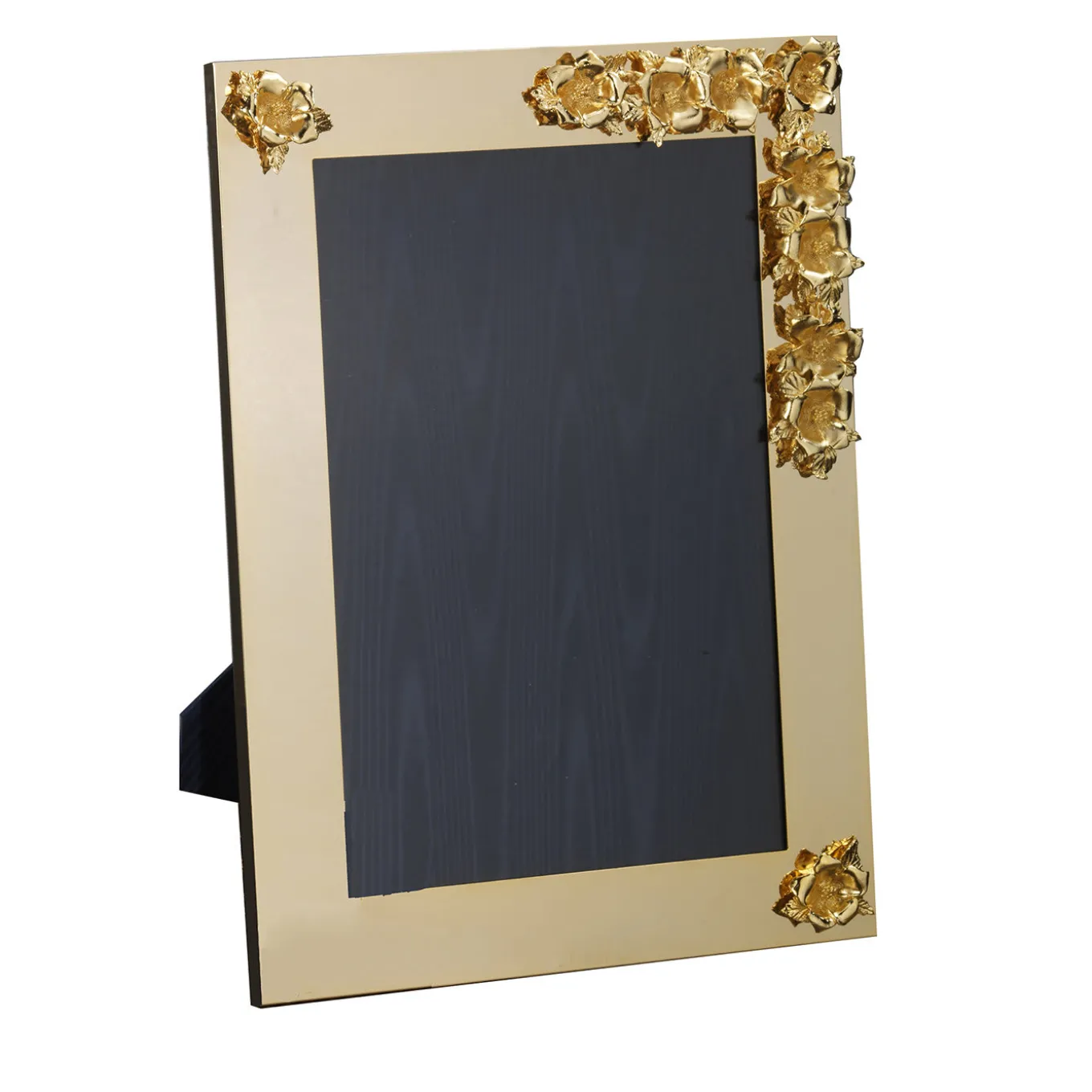 Cornice d'oro con ibisco