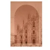 Finestre Tessili Pink Tapestry #2