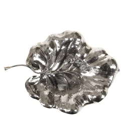 Foglia d'argento Bon Bon