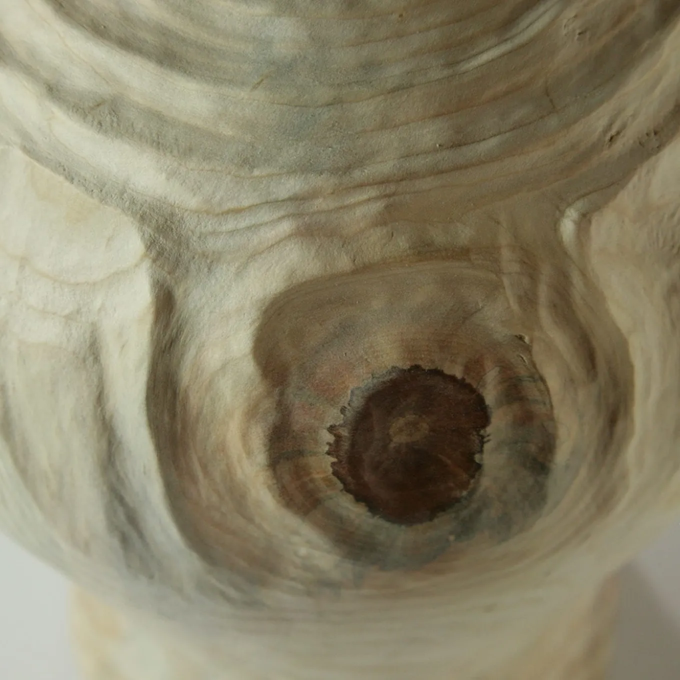 Groove FTG Vaso di araucaria in stile coreano