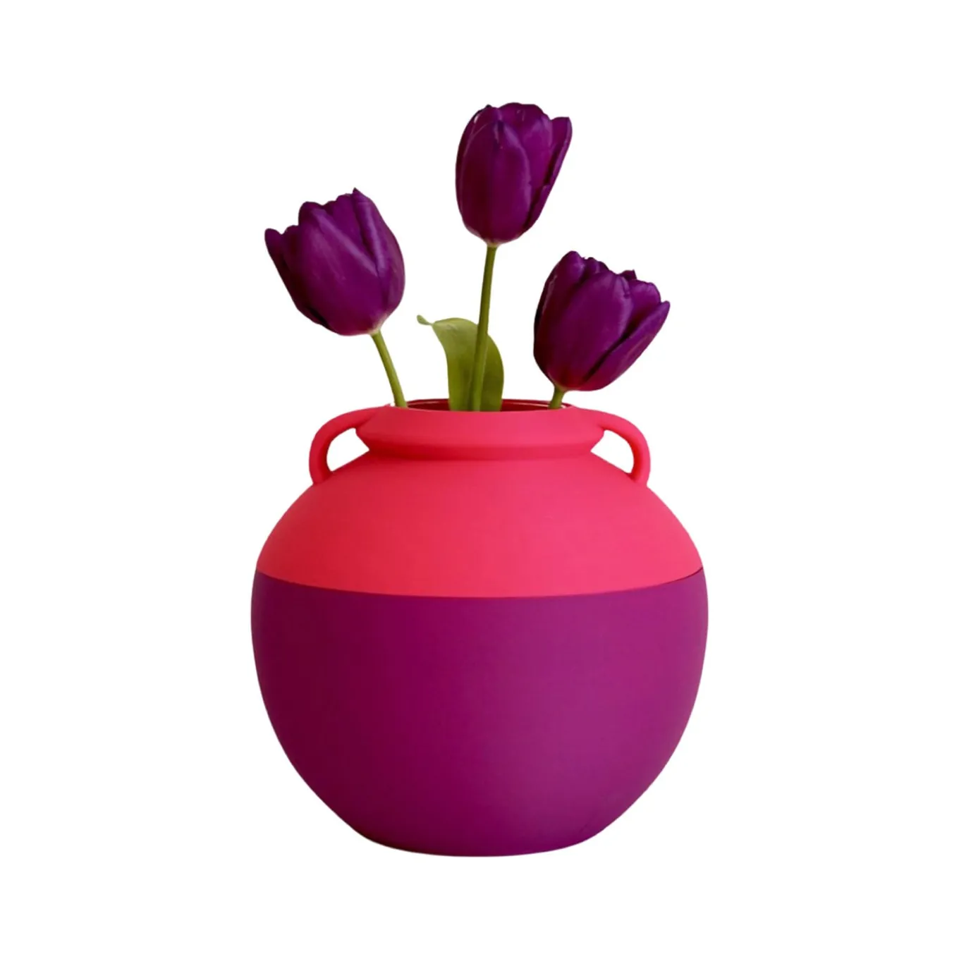 Numa Pompilio L Anfora bicolore viola e rosa