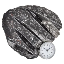 Orologio scultura Nautilo di Nino Basso