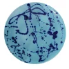 Piatto decorativo in ceramica celeste e blu