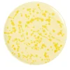 Piatto decorativo in ceramica giallo e crema