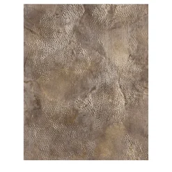 Pittura del cosmo