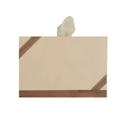 Scatola di carta igienica a strappo