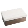 Scatola in Pelle di Anguila e Ottone Lucido con Coperchio