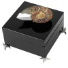 Scatola nera con ammonite