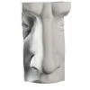 Scultura bianca del naso di David