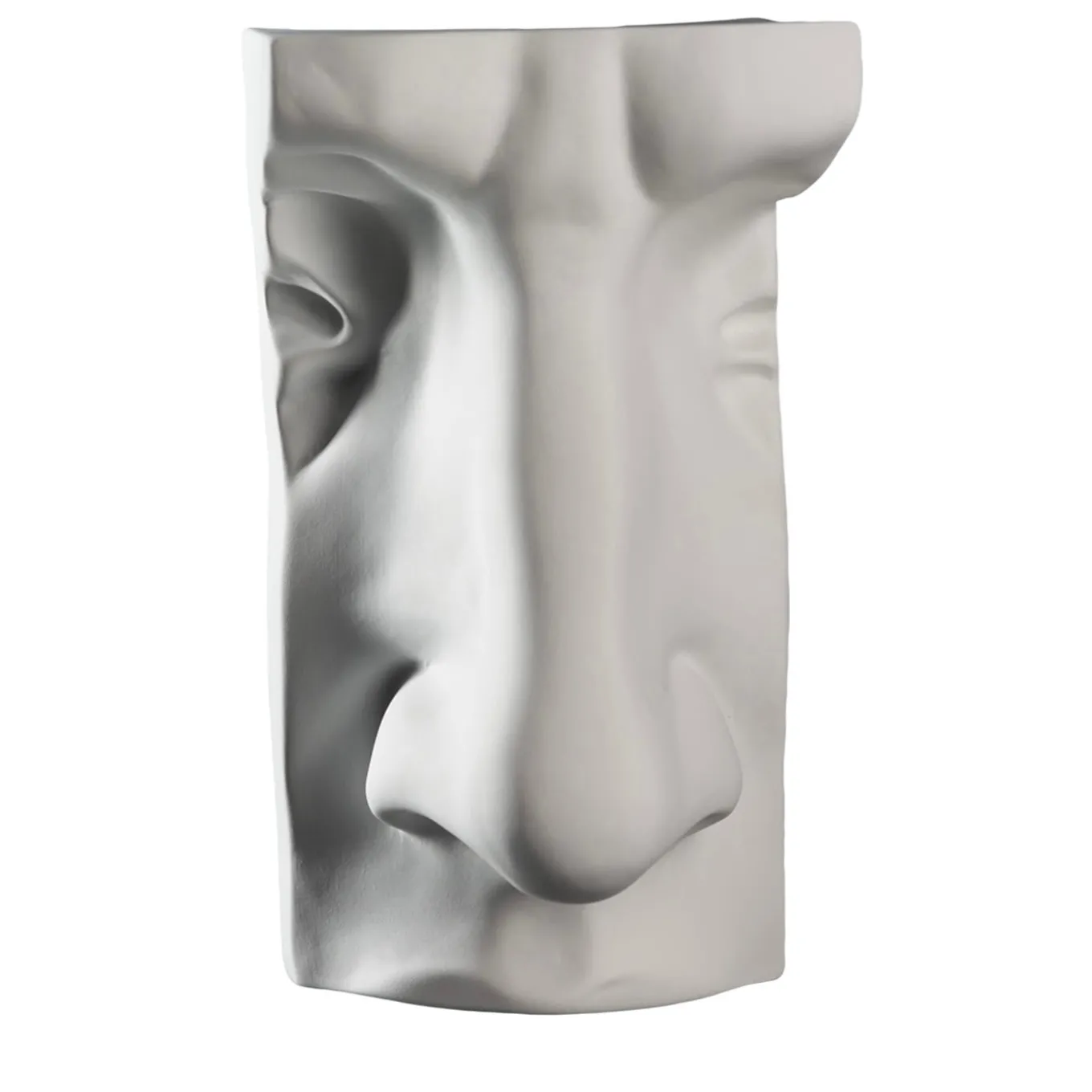 Scultura bianca del naso di David