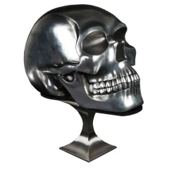 Scultura di teschio nera e argento