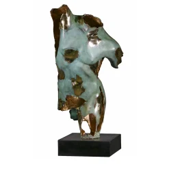 Scultura Dorso Maschile Sfrangiato in bronzo