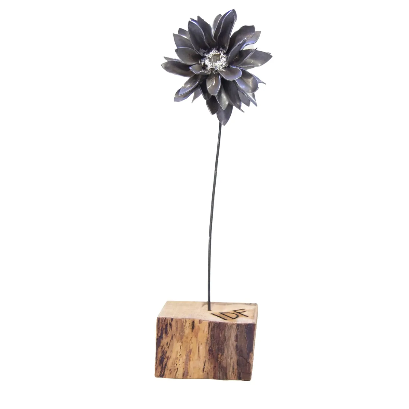 Scultura fitomorfa Dalia