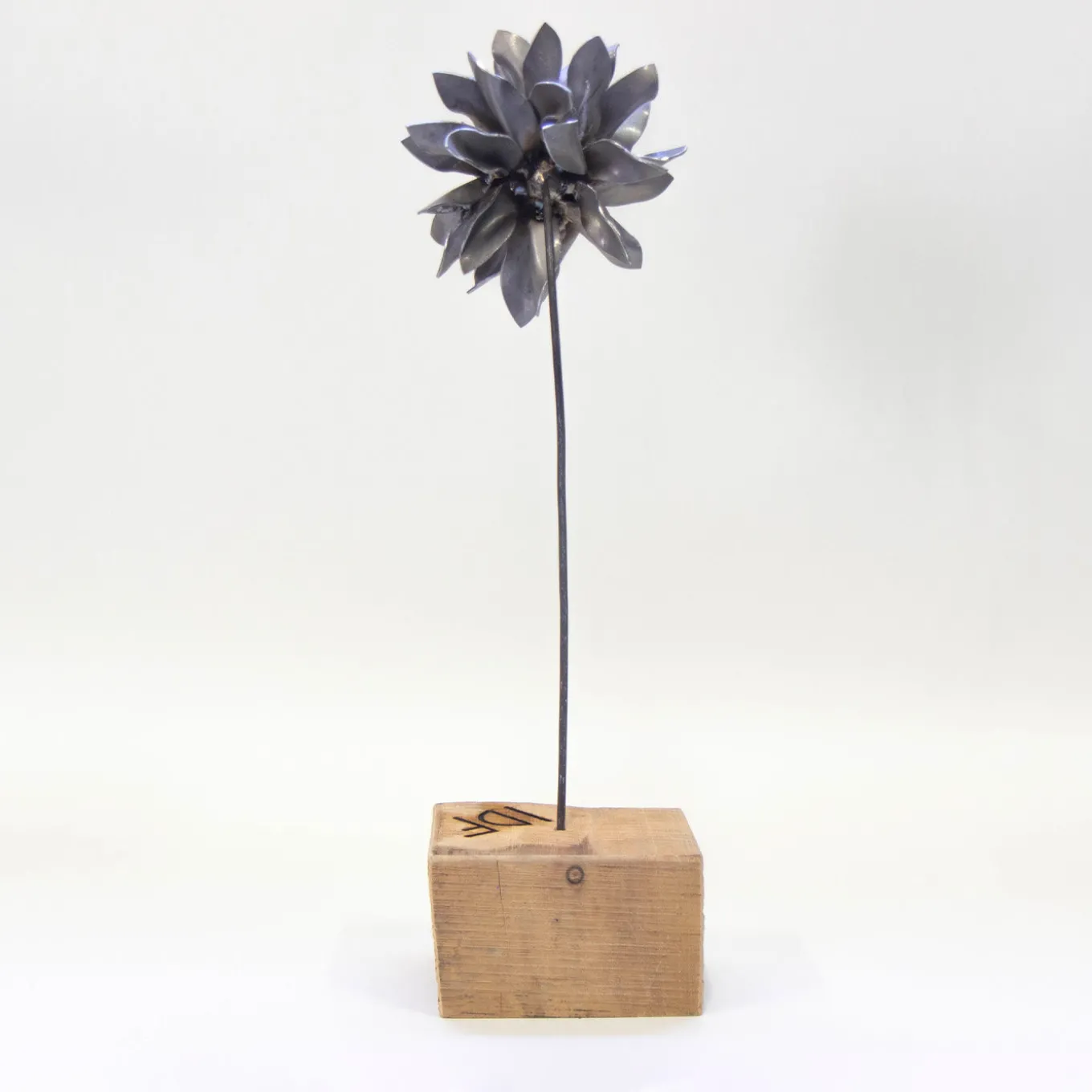 Scultura fitomorfa Dalia