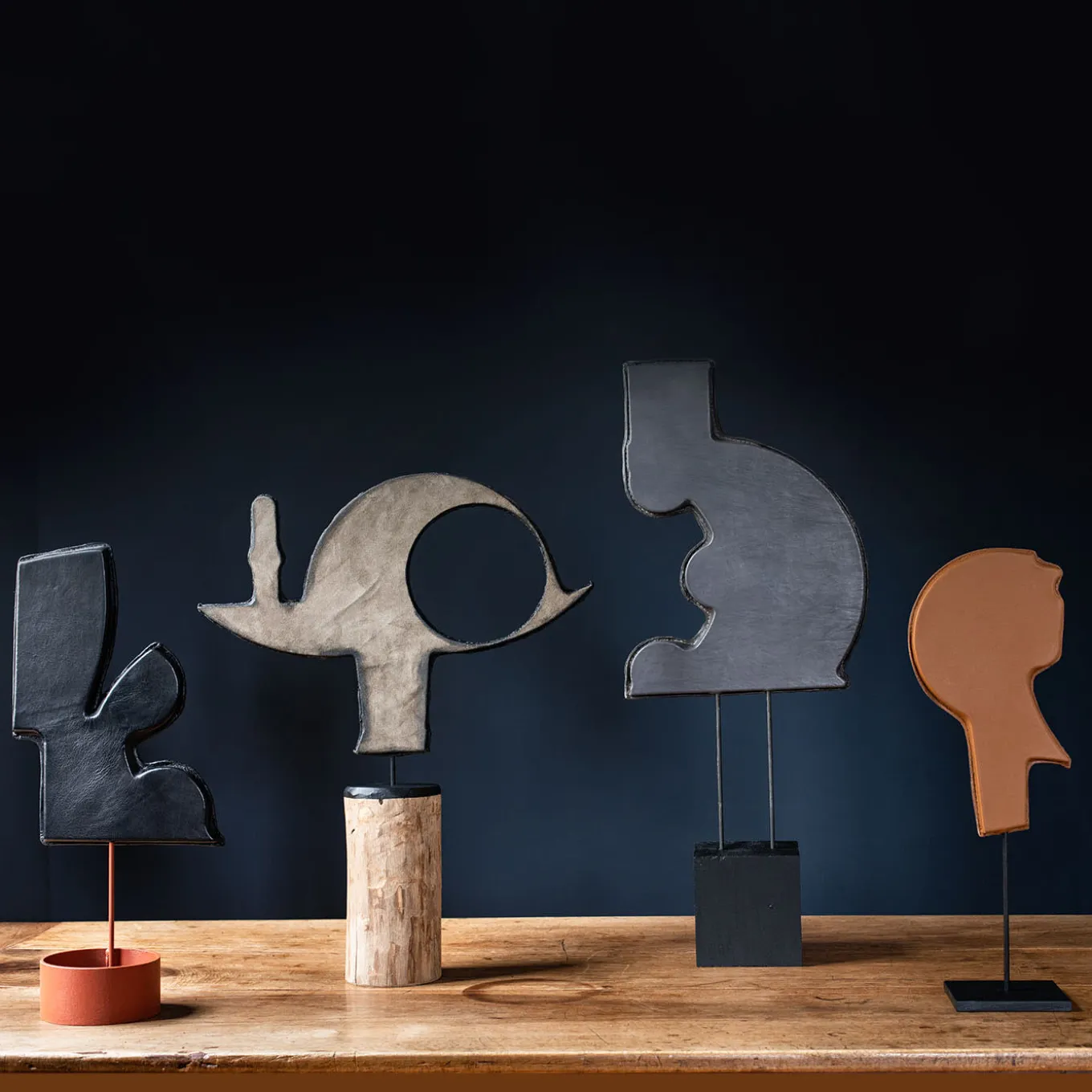 Scultura in pelle nera L'infiorescenza