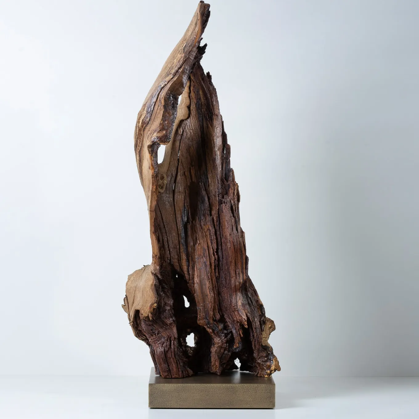 Scultura marrone Per Mulieres II