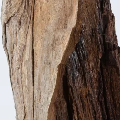 Scultura marrone Per Mulieres II