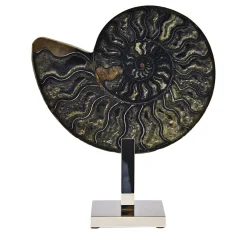 Scultura nera di ammonite