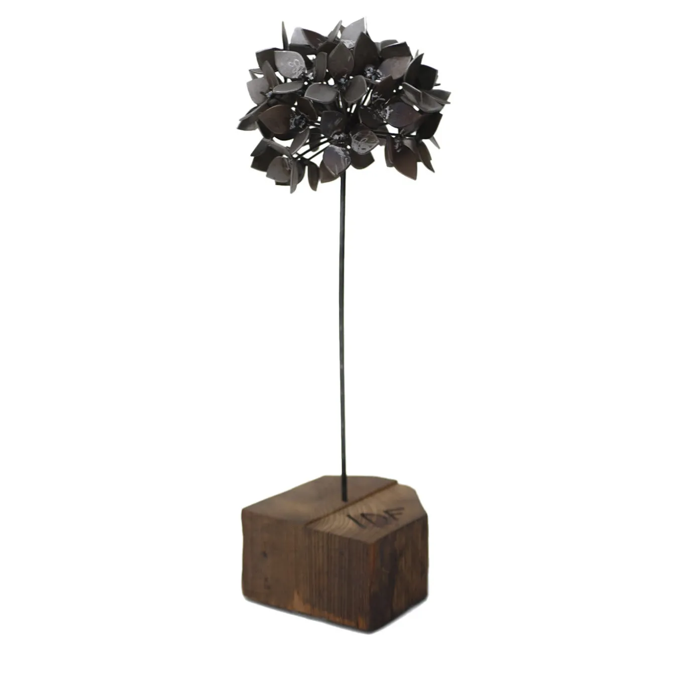 Scultura Ortensia