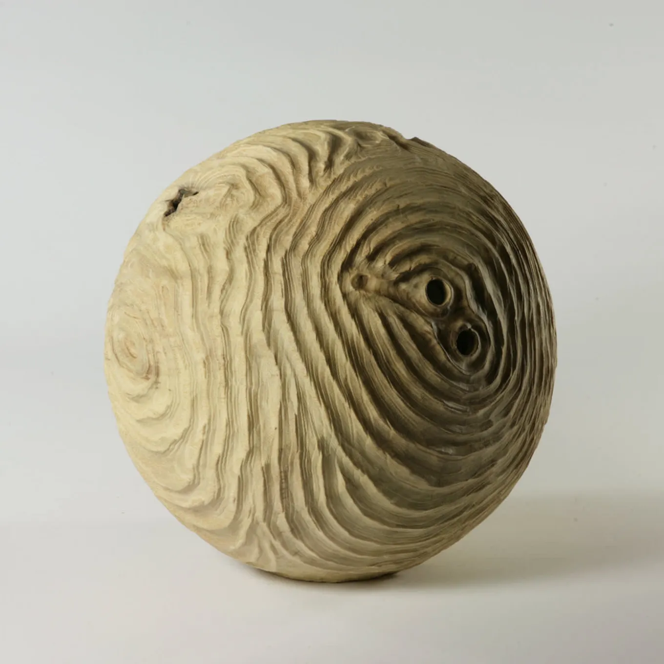 Scultura sferica di locuste nere di forma cava Impossiballs