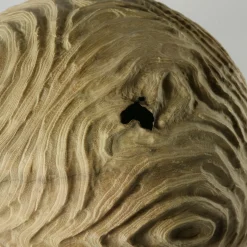 Scultura sferica di locuste nere di forma cava Impossiballs