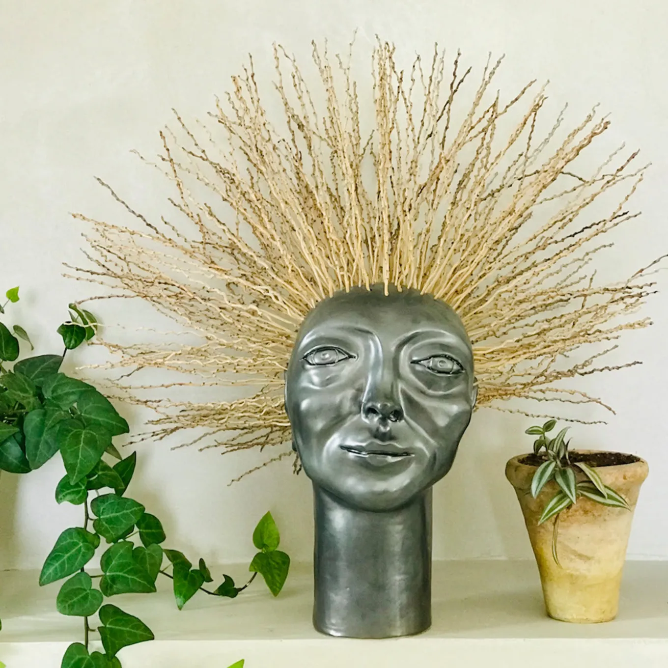 Scultura Testa riccia