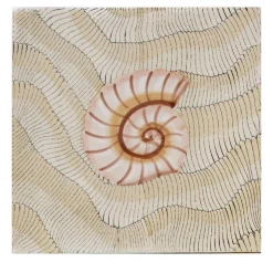 Set di 25 piastrelle Thalassa Avana Shell #D