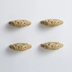 Set di 4 pomelli per porte in ottone Madrepora di Nicole Valenti