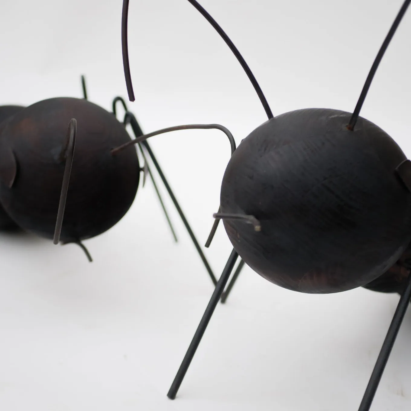 Set di 2 sculture Formiche