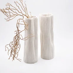 Set di 2 vasi decorativi 