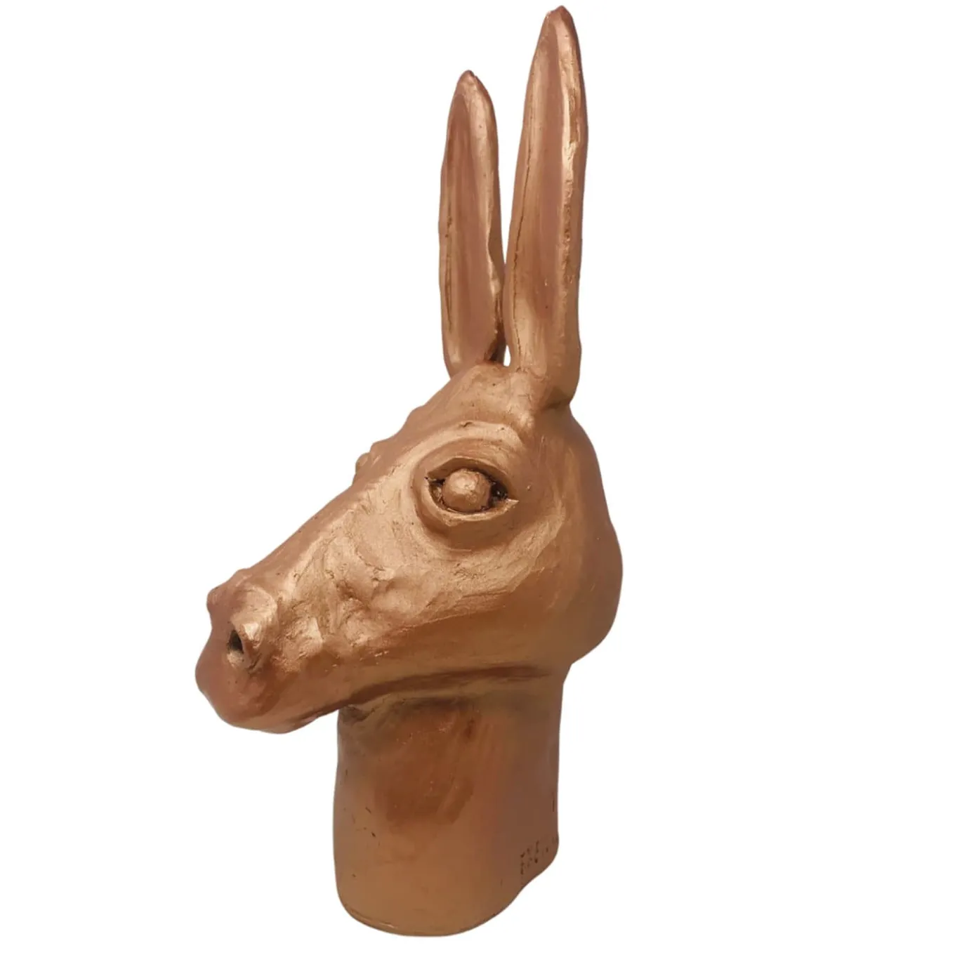 Testa d'asino in bronzo