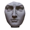 Testa in gesso del David di Michelangelo